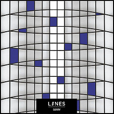 LIINES | Sorry - Vinyl (7)