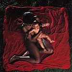 THE AFGHAN WHIGS | Congregation